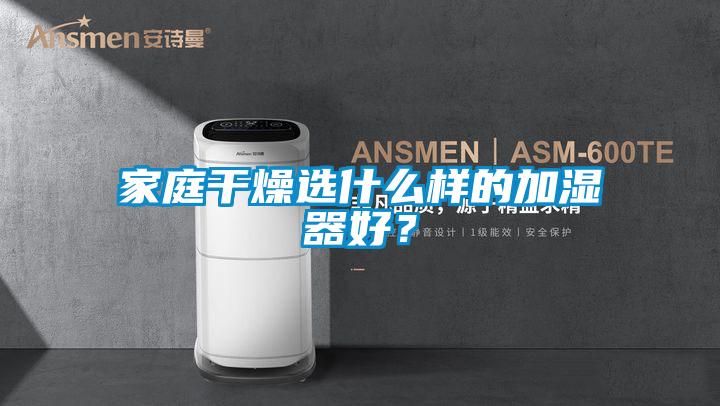 家庭干燥選什么樣的加濕器好？
