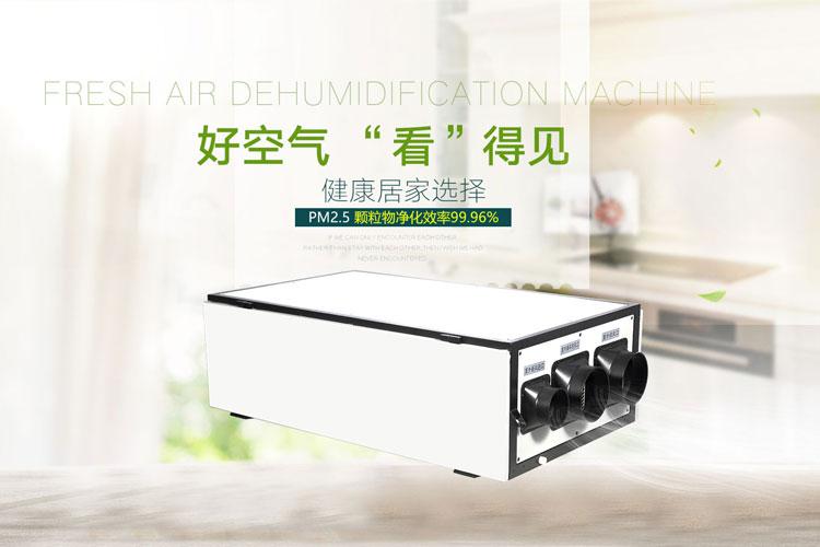 臺風(fēng)帶來的強降雨該如何除濕？