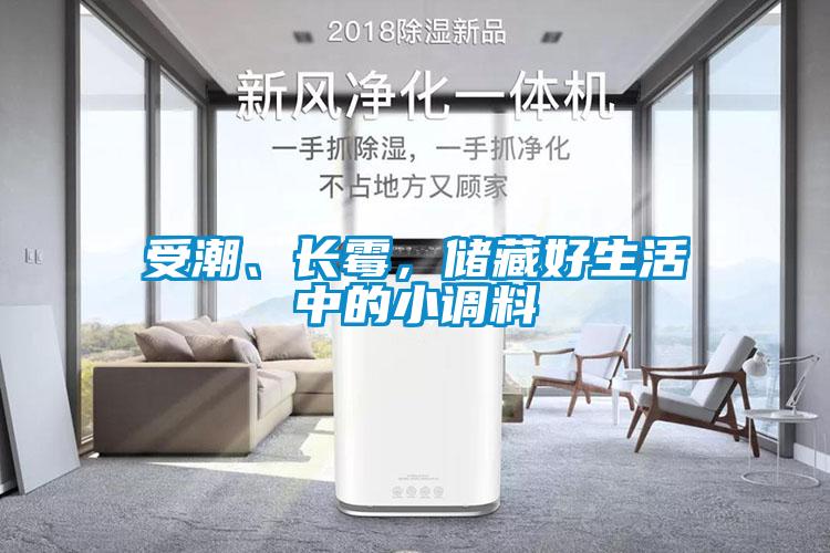 受潮、長(zhǎng)霉，儲(chǔ)藏好生活中的小調(diào)料