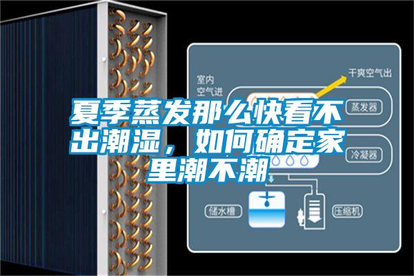 夏季蒸發(fā)那么快看不出潮濕，如何確定家里潮不潮