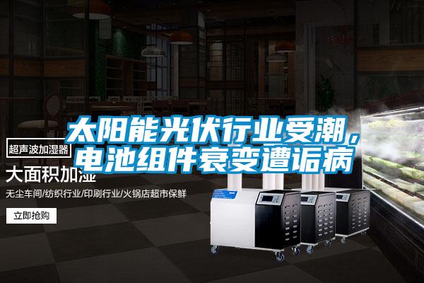 太陽能光伏行業(yè)受潮，電池組件衰變?cè)庠嵅?/></p>
<p style=