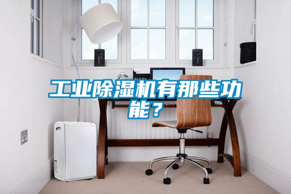 工業(yè)除濕機(jī)有那些功能？