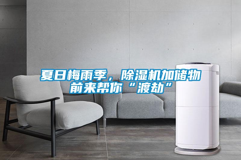 夏日梅雨季，除濕機(jī)加儲(chǔ)物前來幫你“渡劫”
