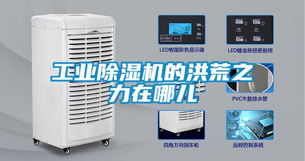 工業(yè)除濕機(jī)的洪荒之力在哪兒