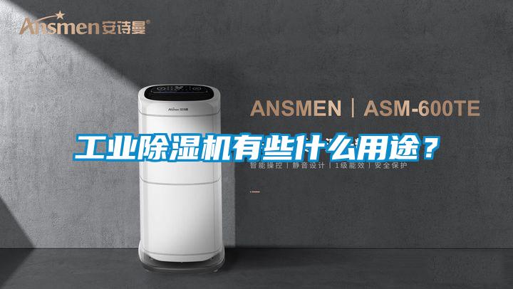 工業(yè)除濕機有些什么用途？