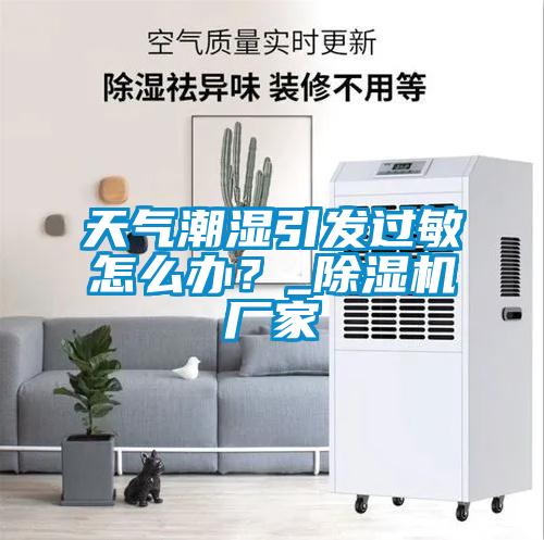 天氣潮濕引發(fā)過(guò)敏怎么辦？_除濕機(jī)廠家