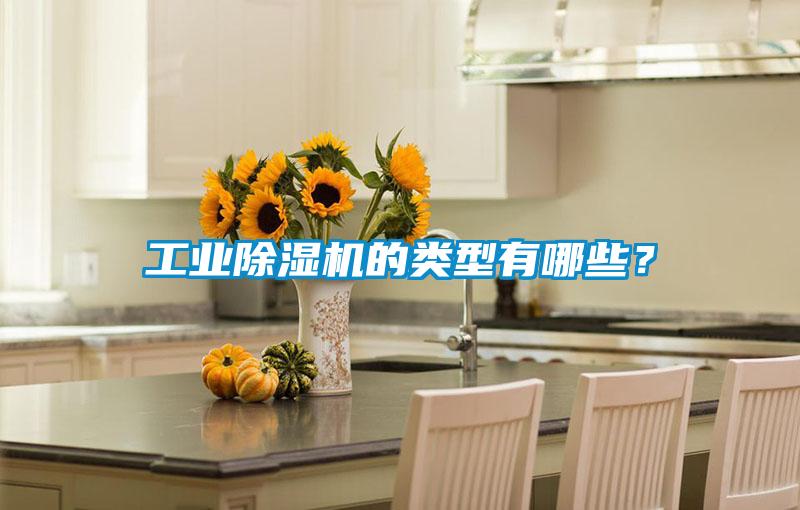 工業(yè)除濕機的類型有哪些？