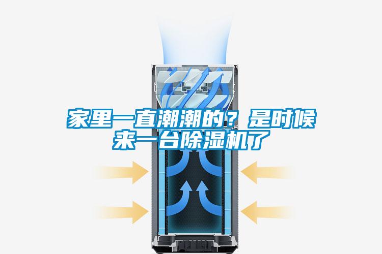 家里一直潮潮的？是時候來一臺除濕機了