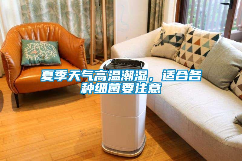 夏季天氣高溫潮濕，適合各種細菌要注意