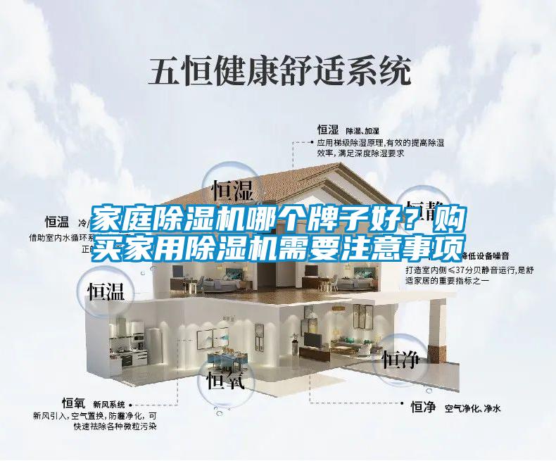 家庭除濕機(jī)哪個(gè)牌子好？購買家用除濕機(jī)需要注意事項(xiàng)