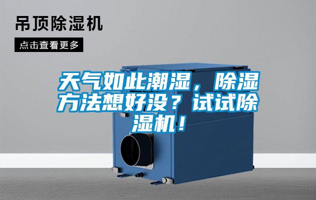天氣如此潮濕，除濕方法想好沒？試試除濕機(jī)！