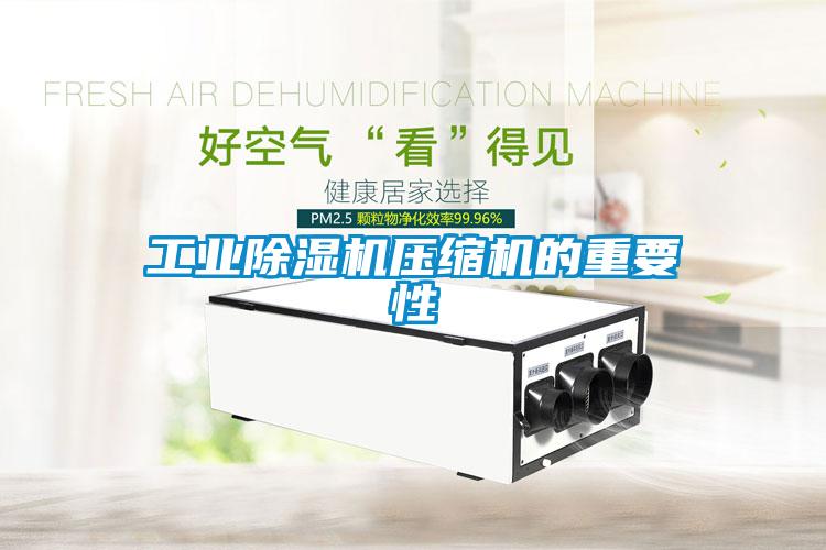 工業(yè)除濕機(jī)壓縮機(jī)的重要性