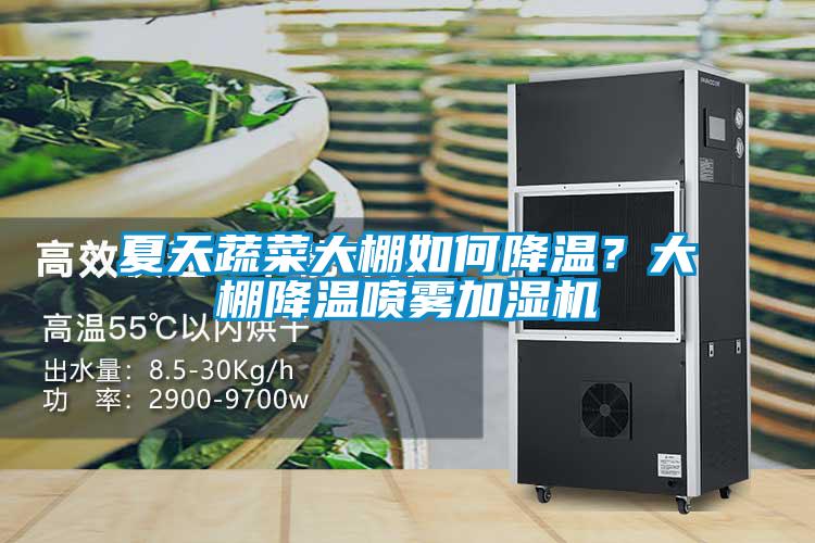 夏天蔬菜大棚如何降溫？大棚降溫噴霧加濕機