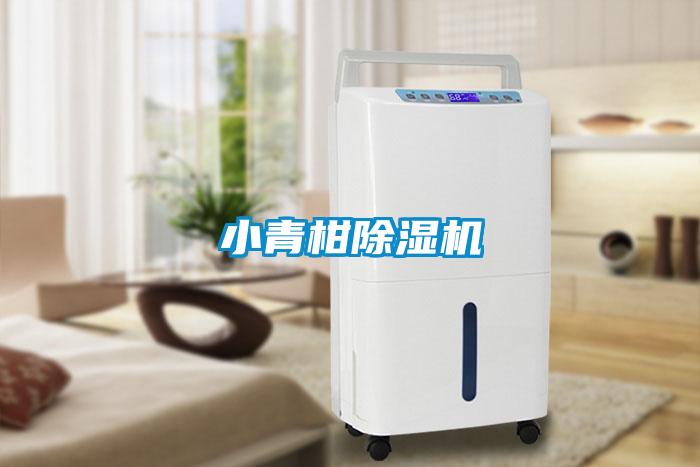 小青柑除濕機