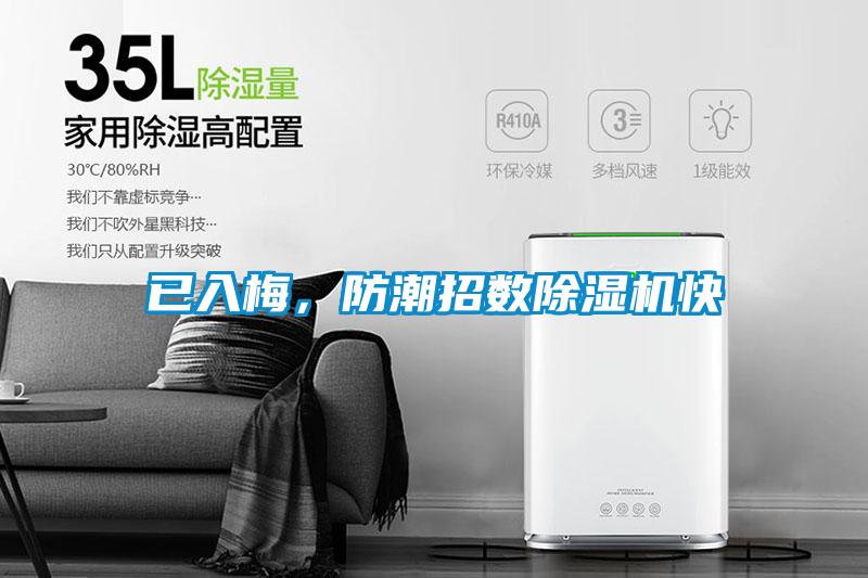已入梅，防潮招數(shù)除濕機(jī)快