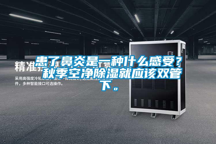 患了鼻炎是一種什么感受？ 秋季空凈除濕就應(yīng)該雙管下。