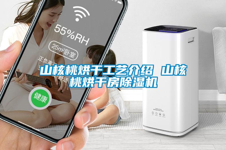 山核桃烘干工藝介紹 山核桃烘干房除濕機(jī)