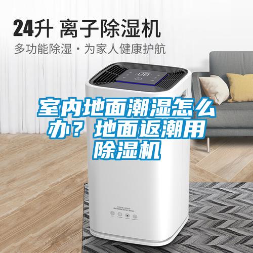 室內(nèi)地面潮濕怎么辦？地面返潮用除濕機(jī)