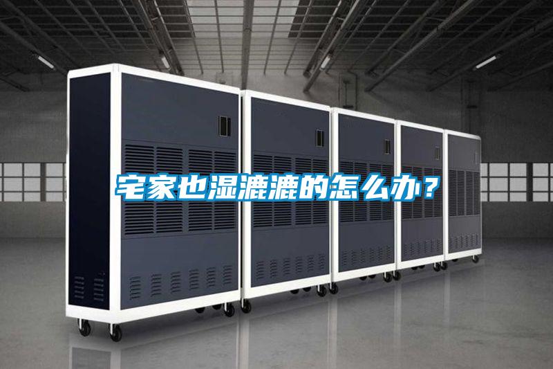 宅家也濕漉漉的怎么辦？