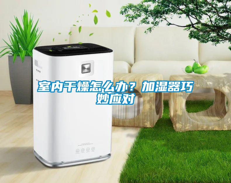 室內干燥怎么辦？加濕器巧妙應對