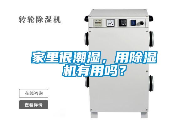 家里很潮濕，用除濕機(jī)有用嗎？