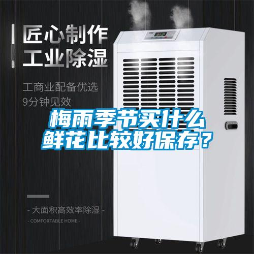 梅雨季節(jié)買什么鮮花比較好保存？