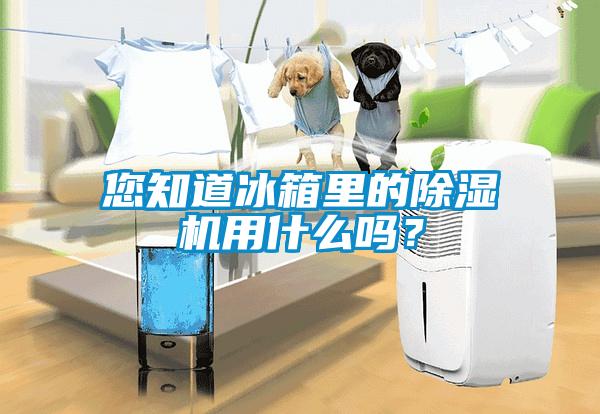 您知道冰箱里的除濕機用什么嗎？