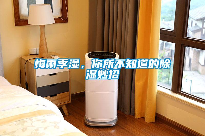 梅雨季濕，你所不知道的除濕妙招