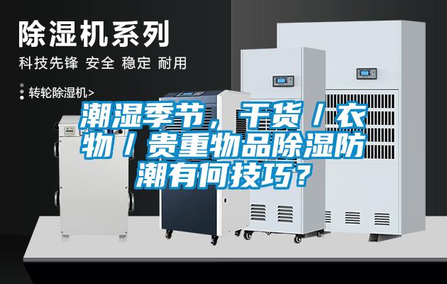 潮濕季節(jié)，干貨／衣物／貴重物品除濕防潮有何技巧？