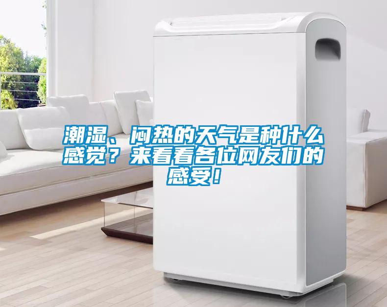 潮濕、悶熱的天氣是種什么感覺？來看看各位網(wǎng)友們的感受！