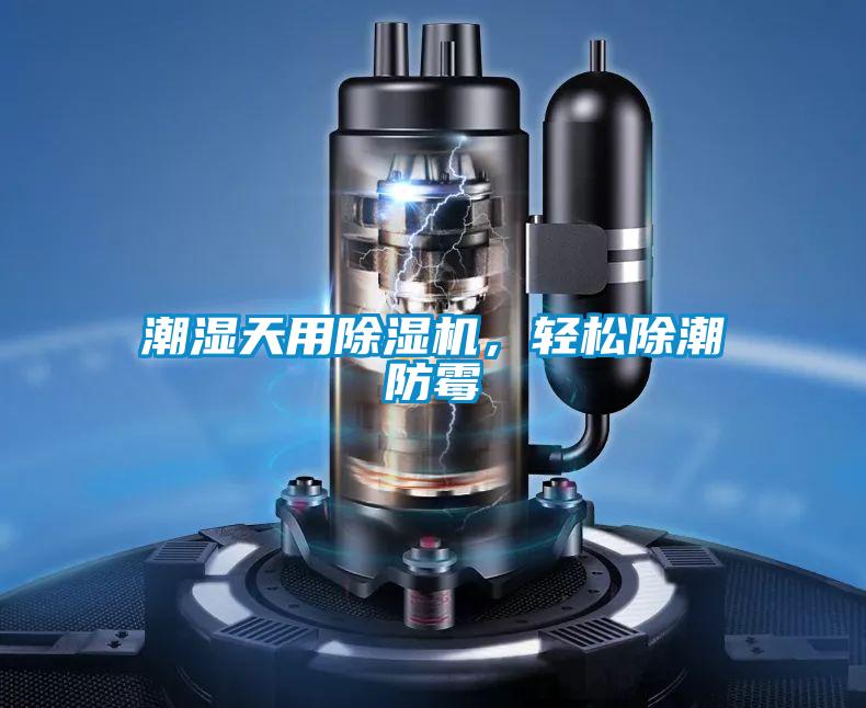 潮濕天用除濕機(jī)，輕松除潮防霉