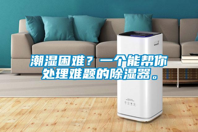 潮濕困難？一個能幫你處理難題的除濕器。