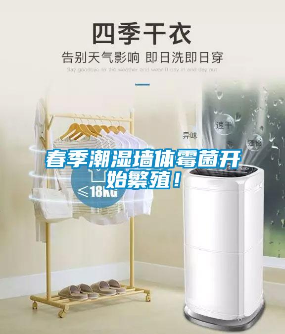 春季潮濕墻體霉菌開始繁殖！