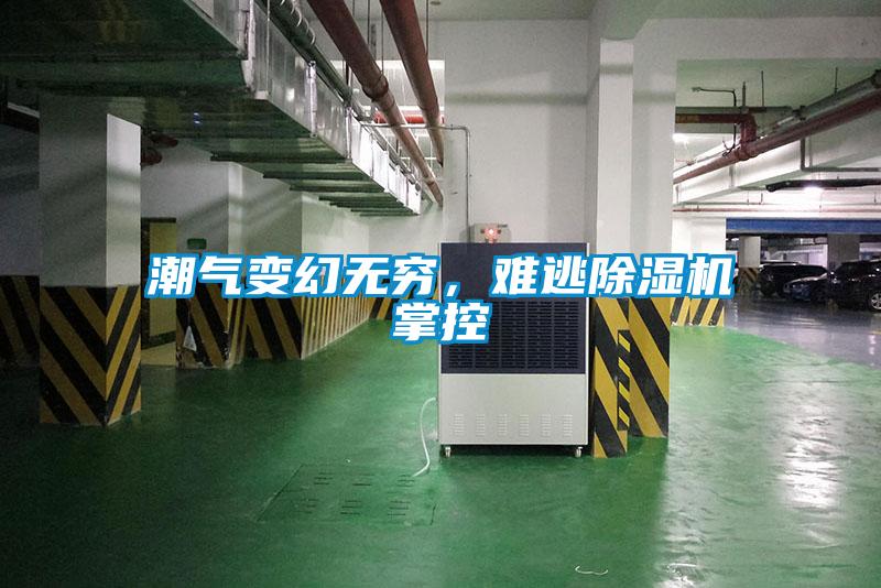 潮氣變幻無(wú)窮，難逃除濕機(jī)掌控