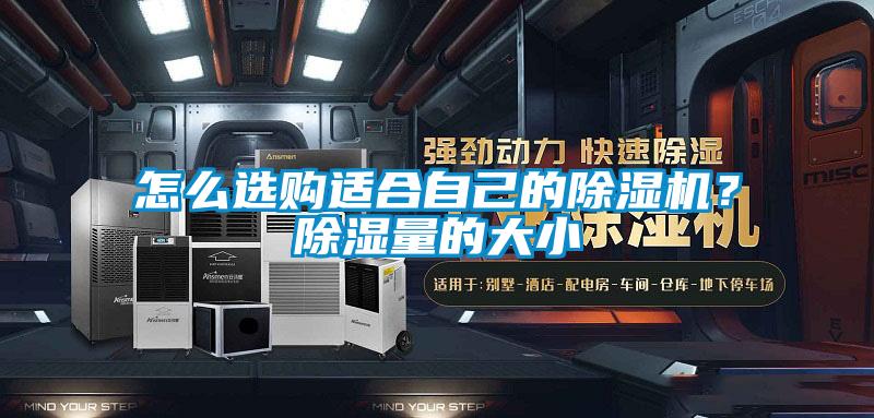 怎么選購(gòu)適合自己的除濕機(jī)？除濕量的大小