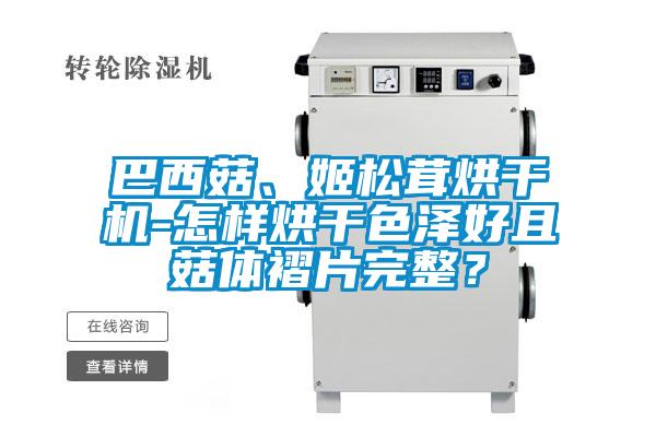 巴西菇、姬松茸烘干機-怎樣烘干色澤好且菇體褶片完整？