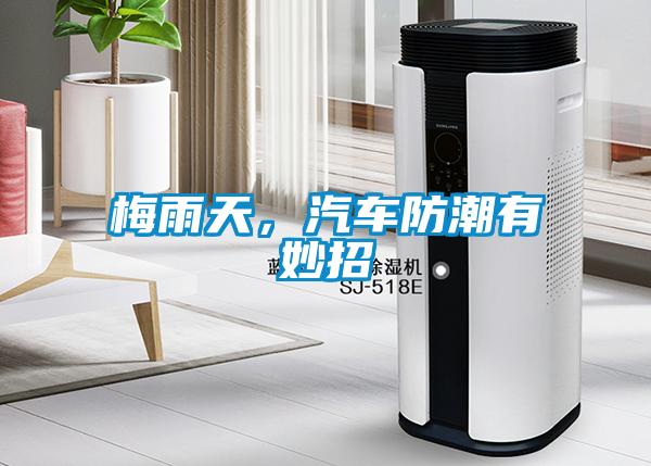 梅雨天，汽車防潮有妙招