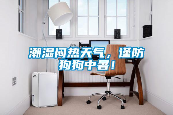 潮濕悶熱天氣，謹(jǐn)防狗狗中暑！