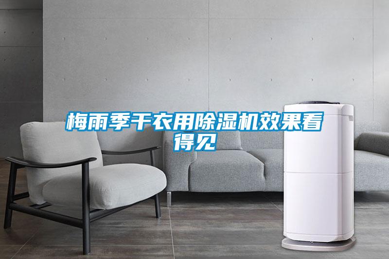 梅雨季干衣用除濕機(jī)效果看得見(jiàn)