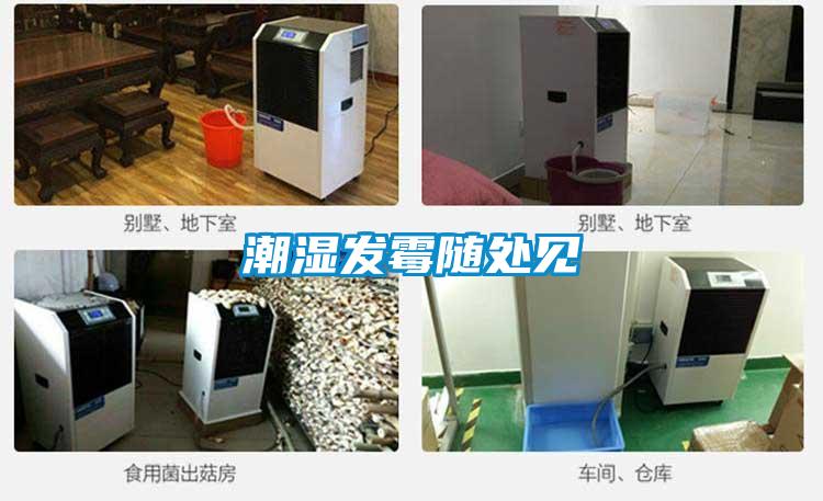 潮濕發(fā)霉隨處見