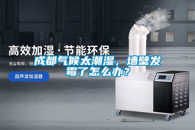 成都氣候太潮濕，墻壁發(fā)霉了怎么辦？