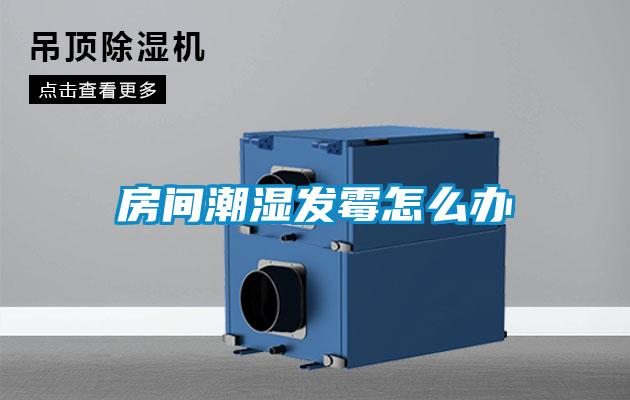 房間潮濕發(fā)霉怎么辦