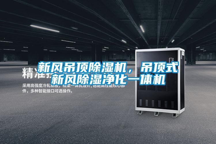 新風(fēng)吊頂除濕機，吊頂式新風(fēng)除濕凈化一體機