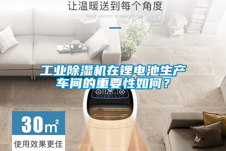 工業(yè)除濕機(jī)在鋰電池生產(chǎn)車間的重要性如何？
