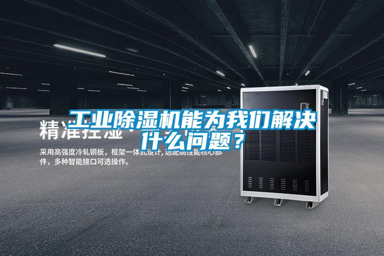 工業(yè)除濕機(jī)能為我們解決什么問題？