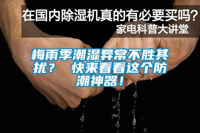 梅雨季潮濕異常不勝其擾？ 快來看看這個防潮神器！