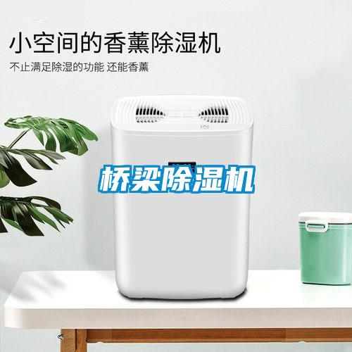 橋梁除濕機(jī)