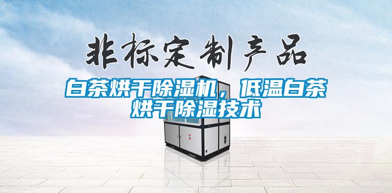 白茶烘干除濕機，低溫白茶烘干除濕技術