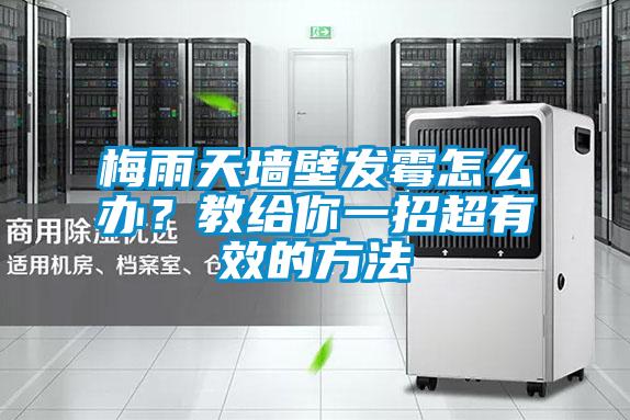 梅雨天墻壁發(fā)霉怎么辦？教給你一招超有效的方法