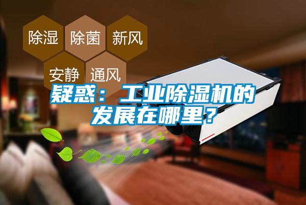 疑惑：工業(yè)除濕機(jī)的發(fā)展在哪里？